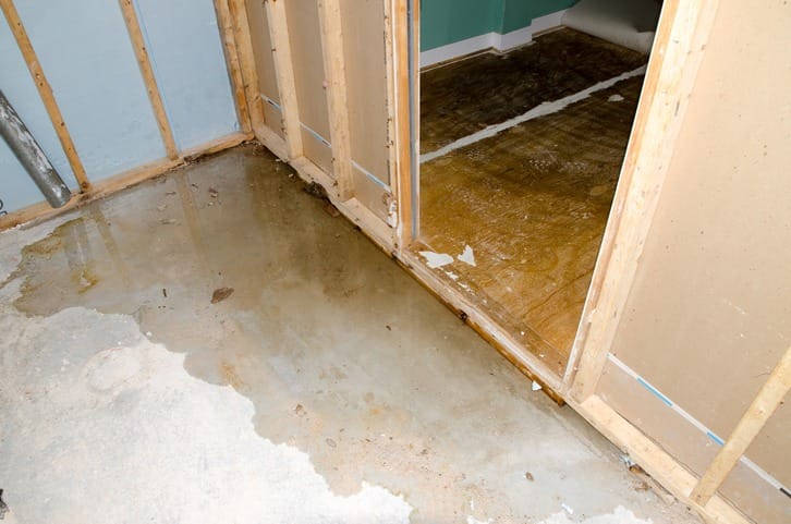 You are currently viewing Urgent Steps After Water Damage in Your Los Angeles Home: Prevent Mold with Expert Mitigation