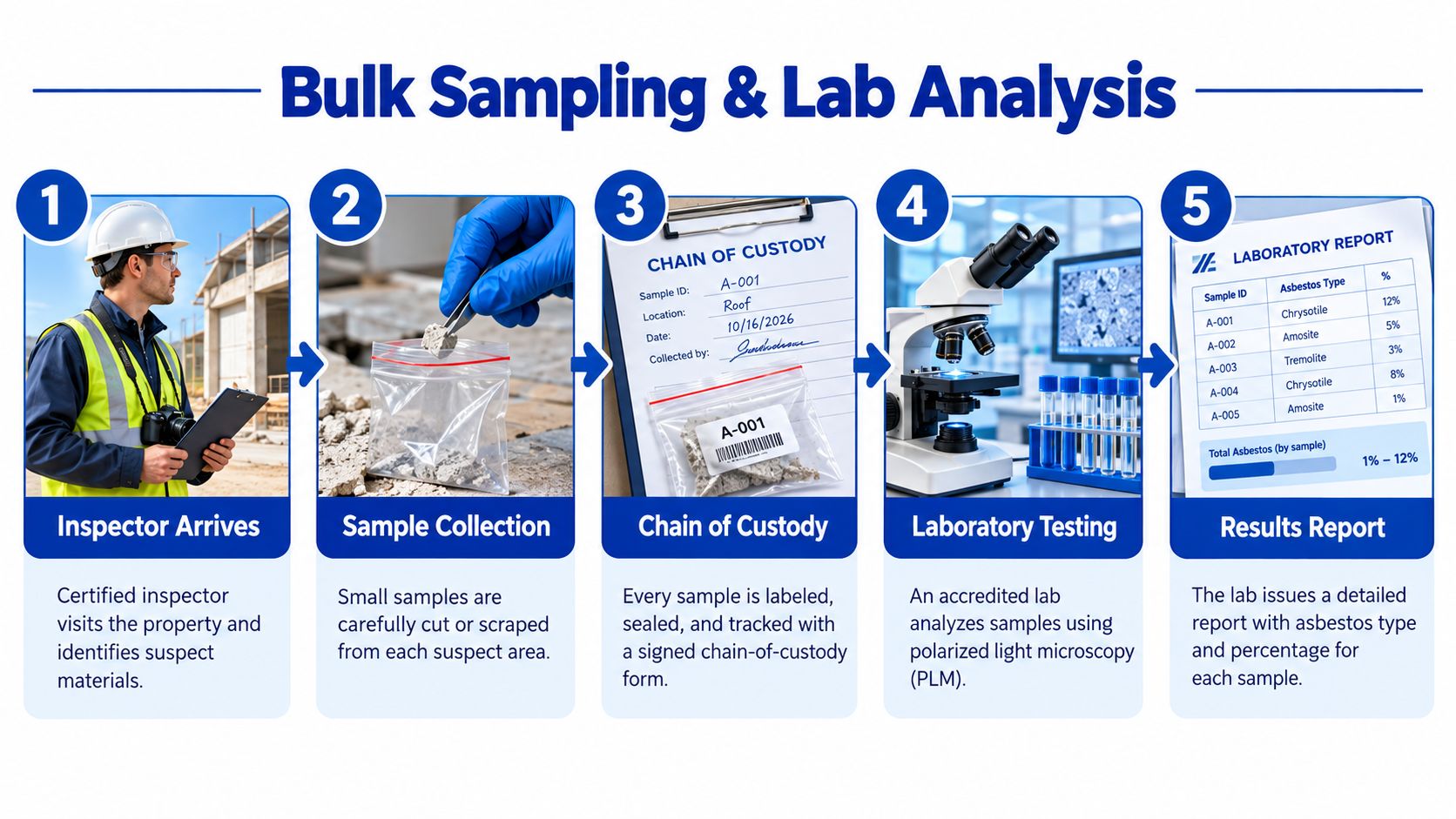 An infographic showing the five-step process of asbestos bulk sampling and laboratory analysis for building inspections.