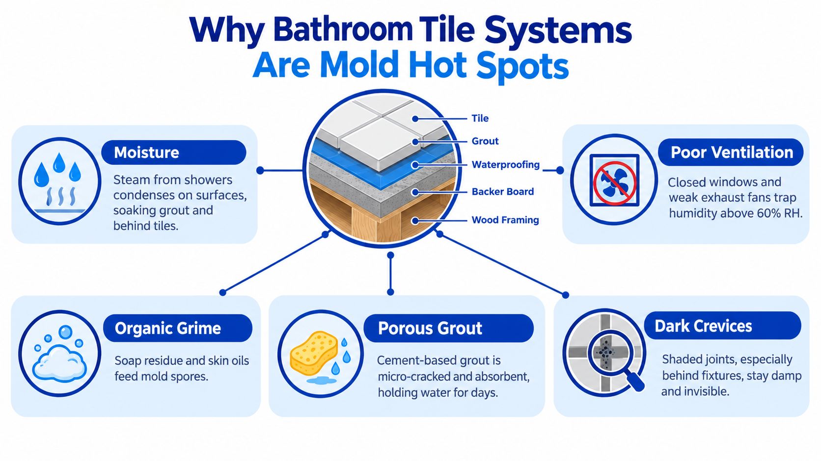 An infographic showing why bathroom tile systems are hot spots for dangerous mold and mildew growth.