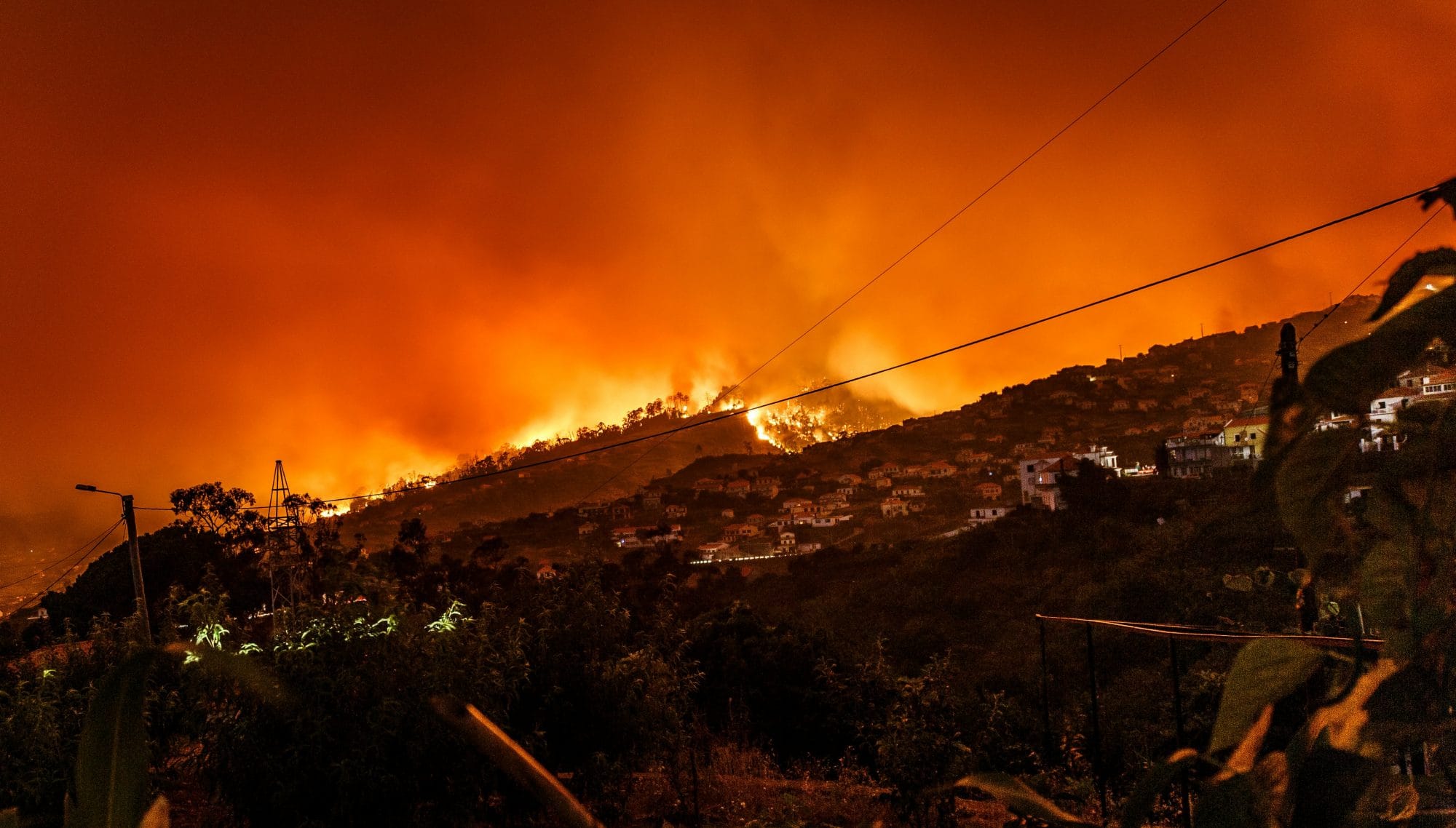 You are currently viewing My house burned down, what should I do?