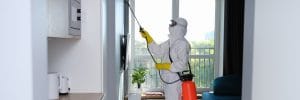 Read more about the article Comprehensive Commercial Mold Treatment Services in Los Angeles with Sensitive Environmental