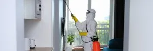 Read more about the article Comprehensive Commercial Mold Treatment Services in Los Angeles with Sensitive Environmental